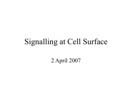 Cell signalling - Bilkent University