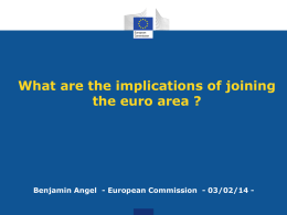 What are the implications of joining the euro area ?