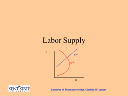 Labor Supply - Personal.kent.edu