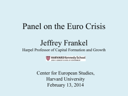 Panel on the Euro Crisis