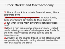 Lecture Notes Stock Market and Macroeconomy