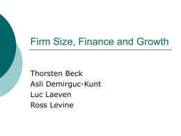 Firm Size, Finance and Growth - Faculty Directory | Berkeley-Haas