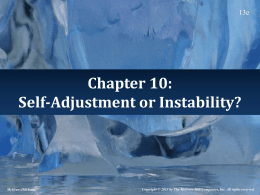 Self-Adjustment or Instability?