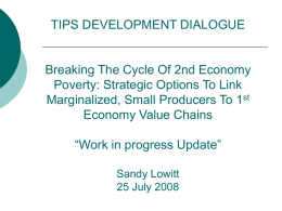 TIPS development dialogue_25 July 2008