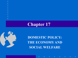 Chapter 17 DOMESTIC POLICY