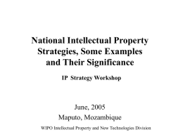NATIONAL IP STRATEGIES, SOME EXAMPLES AND THEIR