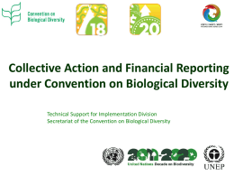 Collective Action and Financial Reporting under Convention on