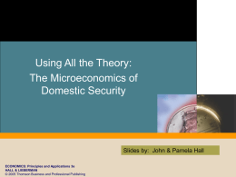 UT Microeconomics of Domestic Security