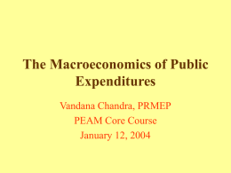 The Macroeconomics of Public Expenditure