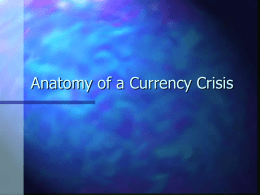 Anatomy of a Currency Crisis