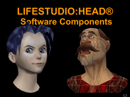 LS:HEAD Software Overview