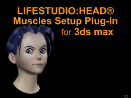 LIFESTUDIO:HEAD® Muscles Setup Plug