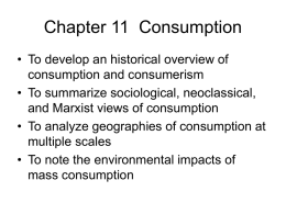 Chapter 11 Consumption