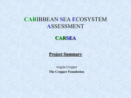 The CARSEA assessment and its scenario exercise