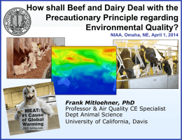 How shall Beef and Dairy Deal with the Precautionary Principle
