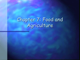 Chapter 7: Food and Agriculture