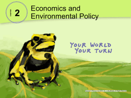 What Is Environmental Policy?