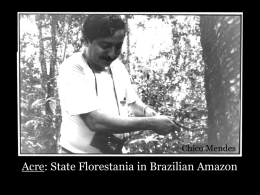 O Brasil e a agenda do desenvolvimento sustentável