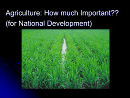 Importance of Agriculture