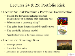 foreign exchange risk and diversification