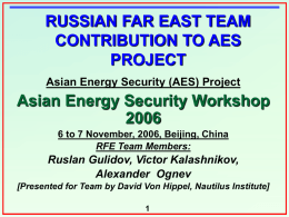 Russian Far East Team Contribution to AES Project
