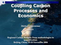 Coupling Carbon Processes and Economics