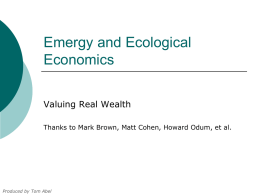 Real wealth - The Emergy Society