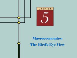 Macroeconomics: The Bird`s