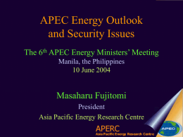 The 6th APEC EMM