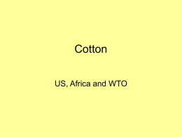 Cotton: US, Africa and WTO