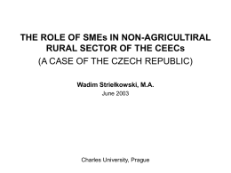 Factors influencing the Success of SMEs in Rural Poland