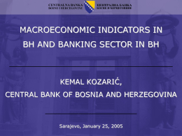 Basic indicators of BH economy