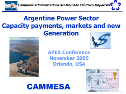 Capacity payments and new generation