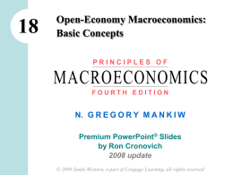 macro open econ model