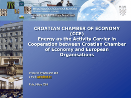 Energy as the Activity Carrier in Cooperation between Croatian