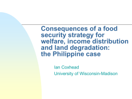 Consequences of a food security strategy for welfare, income