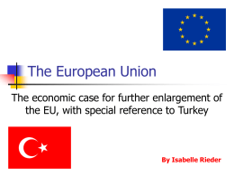 Ch 19 The economic case for further enlargement of the EU, with