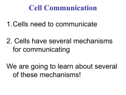 cell signaling in class