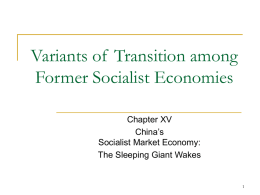 socialist market economy