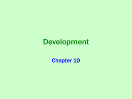 development powerpoint by mr. cox