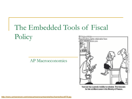 Embedded Tools of Fiscal Policy