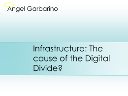 Why the Digital Divide?