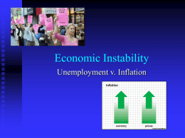 Economic Instability