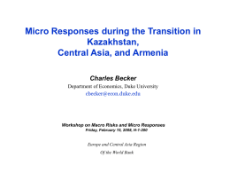 Micro Responses during the Transition in Kazakhstan
