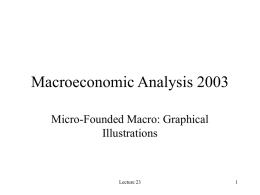 Microfounded Macro:Graphical Illustrations