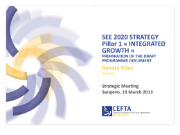SEE 2020 STRATEGY Pillar 1 - South East Europe Investment