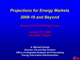 Schaal - Projections for Energy Markets 2008