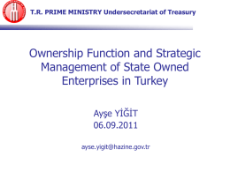 Ownership Function and Strategic Management of State