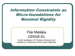 Information Constraints as Micro-foundations for Nominal Rigidity