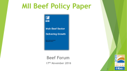 MII Beef Policy